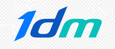 1dm